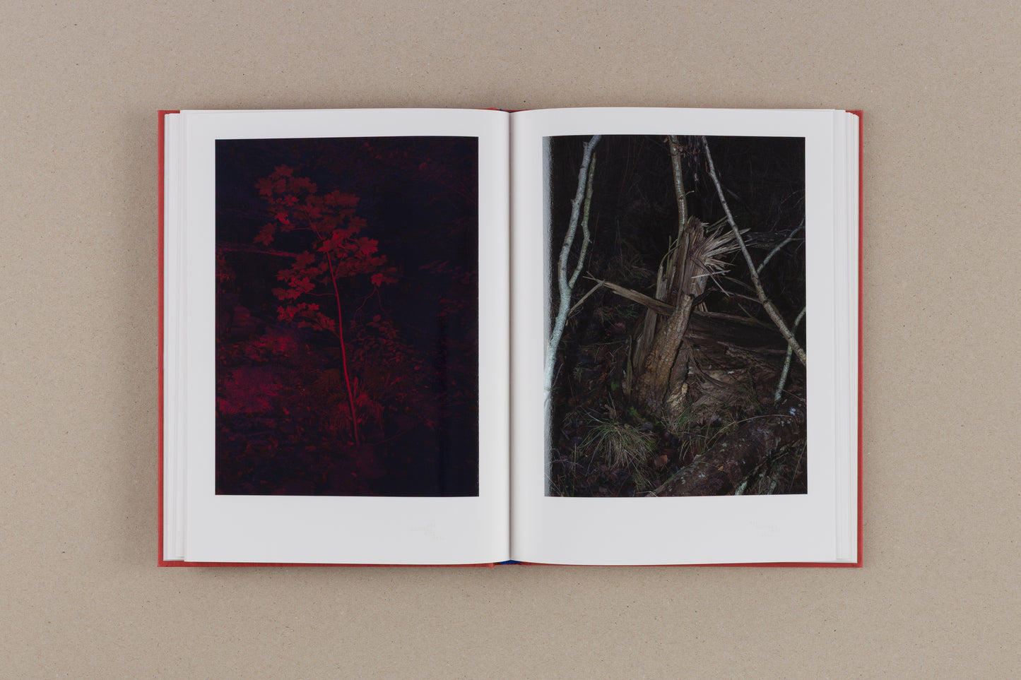 All Empires Will Fall