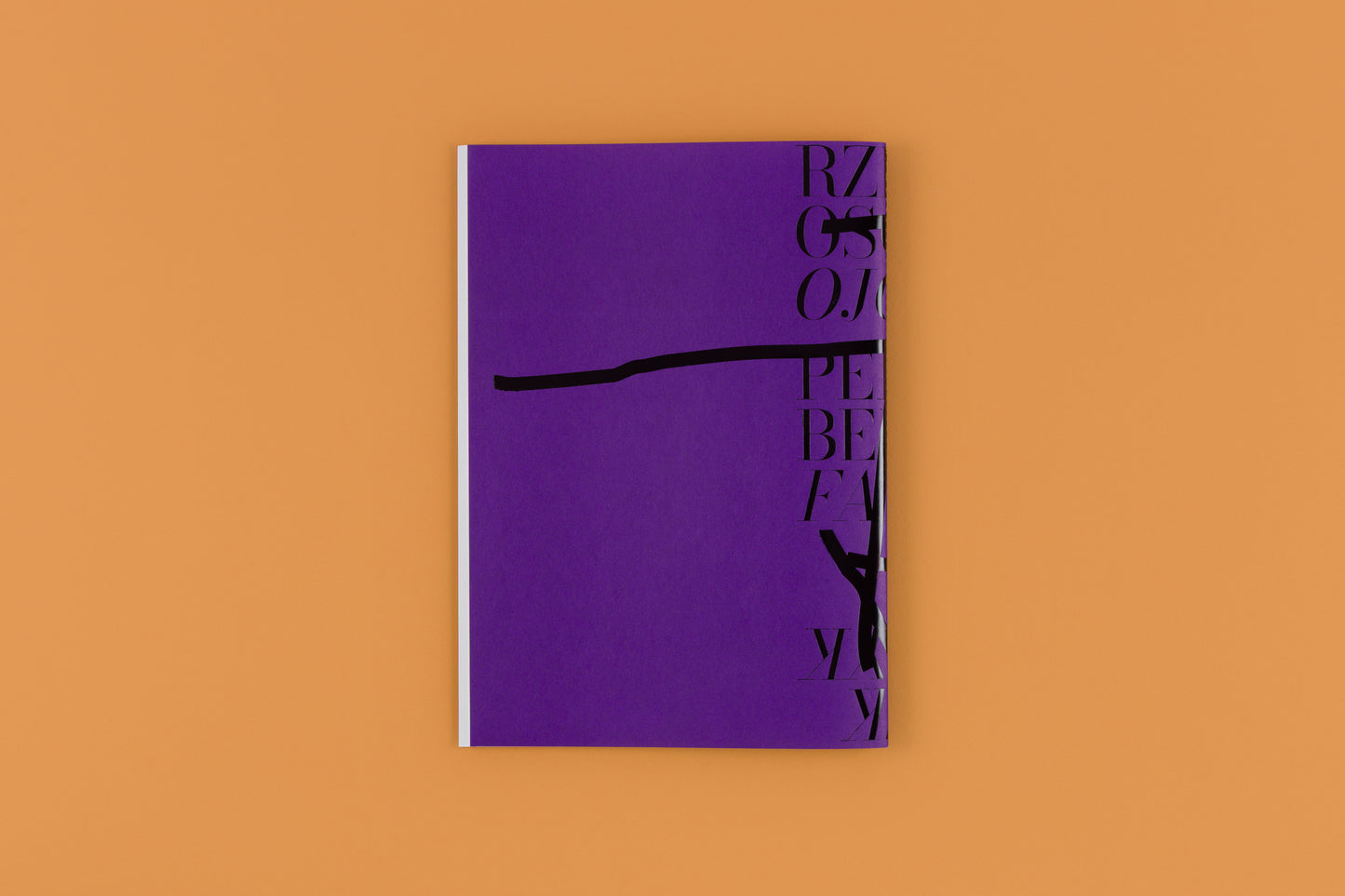 Personal Belongings 1. Father