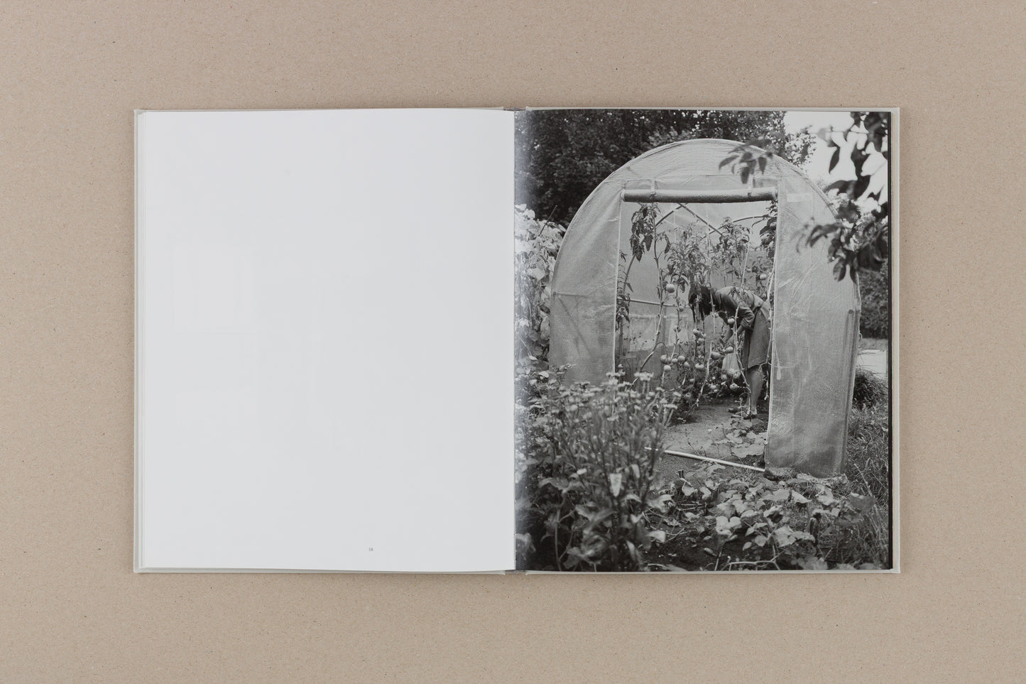 Stepping Out Into This Almost Empty Road